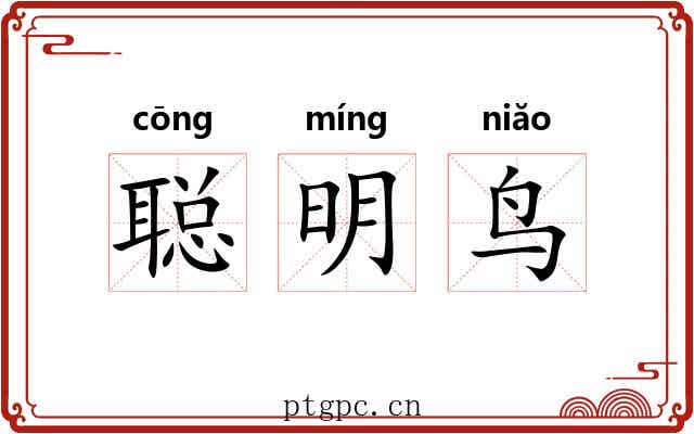 聪明鸟