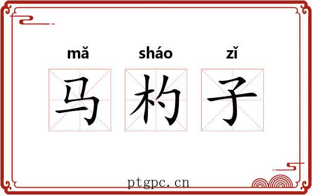 马杓子 马杓子