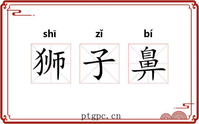 狮子鼻 狮子鼻