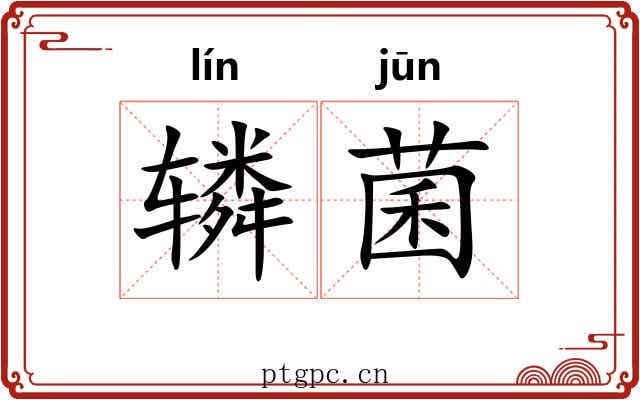 辚菌
