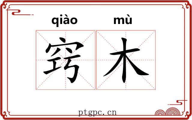 窍木