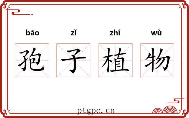 孢子植物 孢子植物