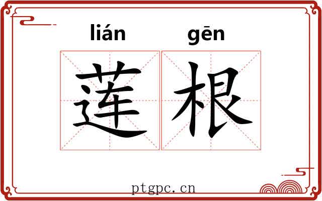 莲根 莲根