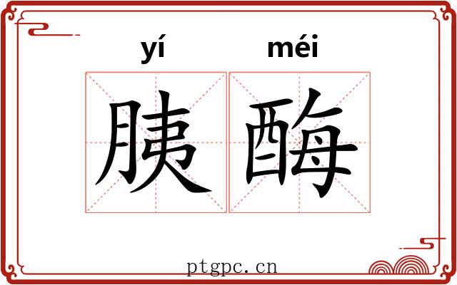 胰酶