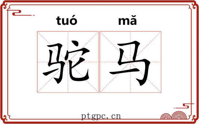 驼马