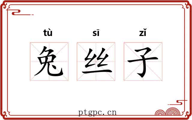 兔丝子 兔丝子