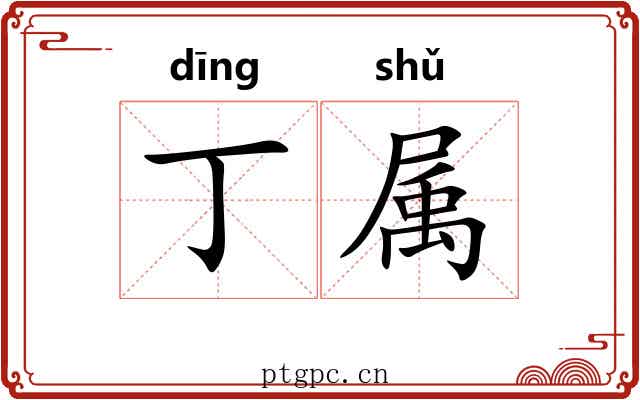 丁属 丁属