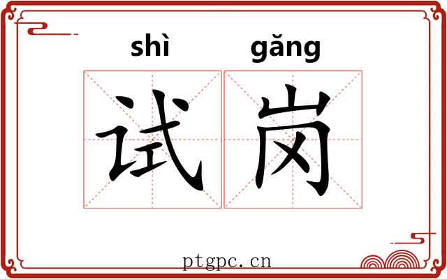 试岗