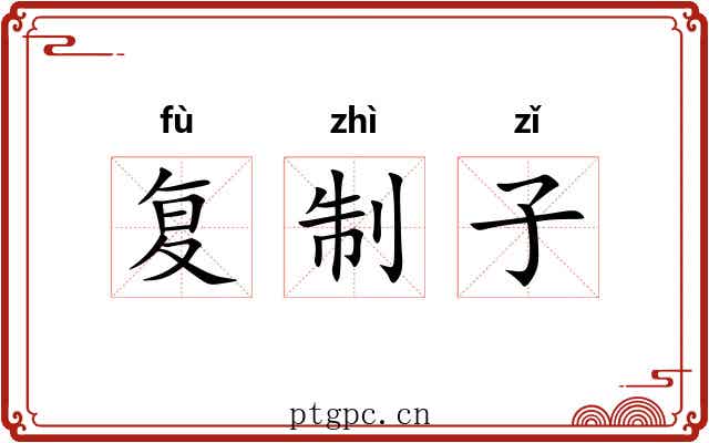 复制子 复制子