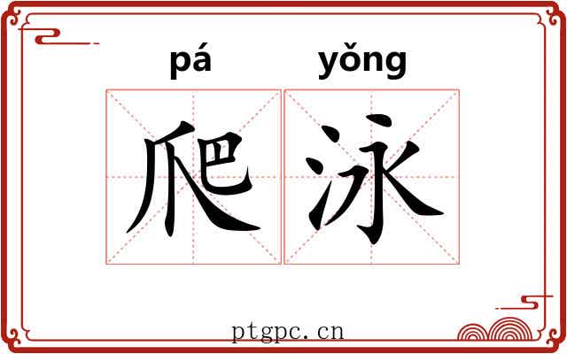 爬泳