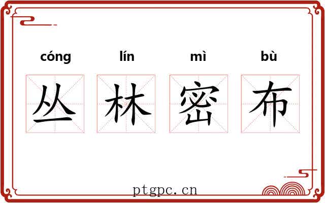 丛林密布 丛林密布