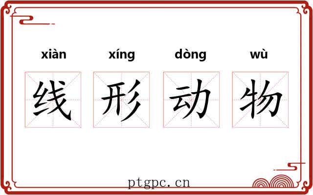 线形动物 线形动物