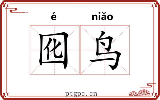 囮鸟