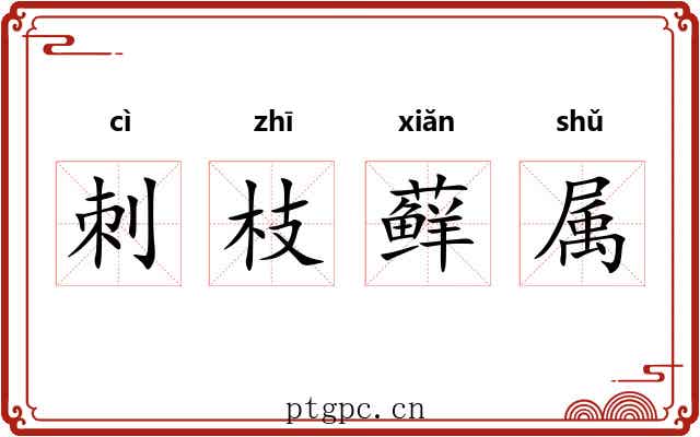 刺枝藓属 刺枝藓属