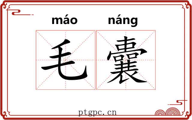 毛囊 毛囊