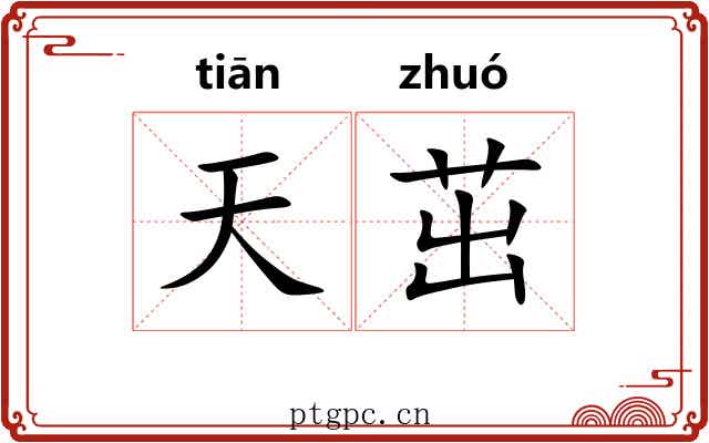 天茁
