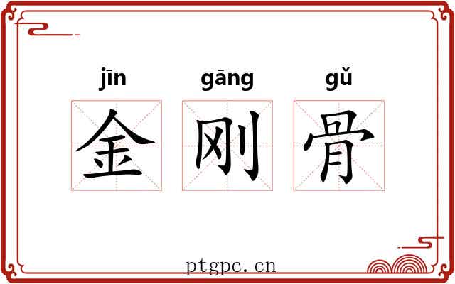 金刚骨 金刚骨