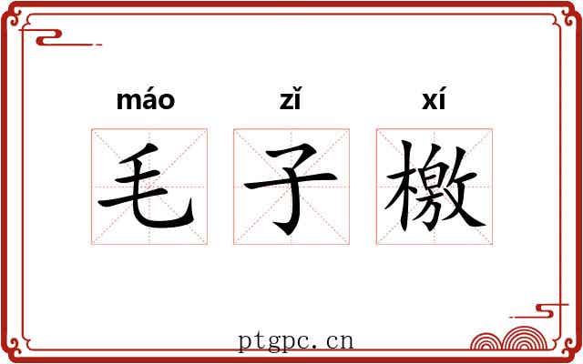 毛子檄 毛子檄