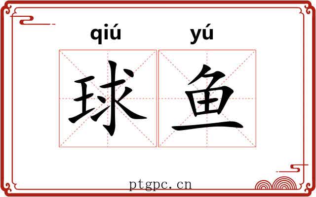 球鱼