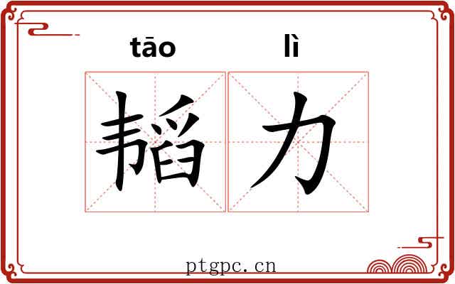 韬力