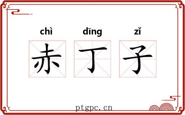 赤丁子 赤丁子