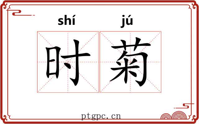 时菊 时菊