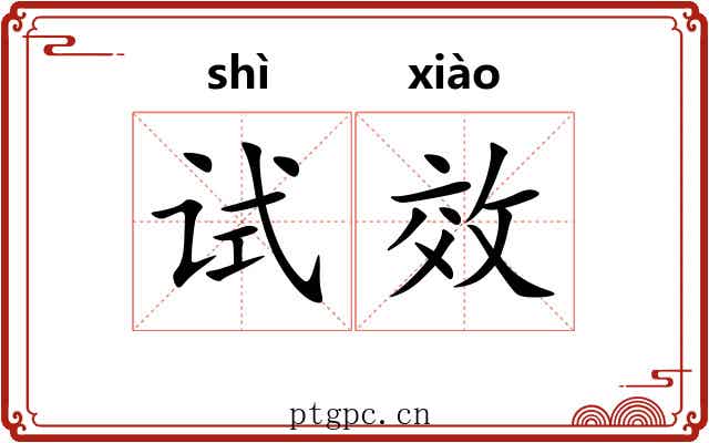 试效