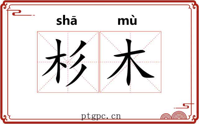杉木