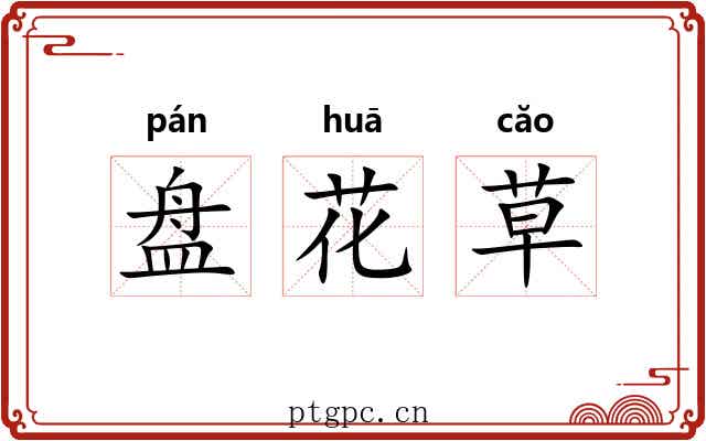 盘花草