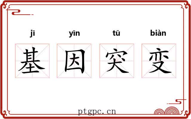 基因突变