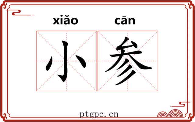 小参 小参