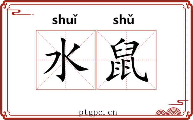 水鼠 水鼠