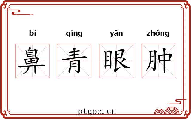 鼻青眼肿 鼻青眼肿