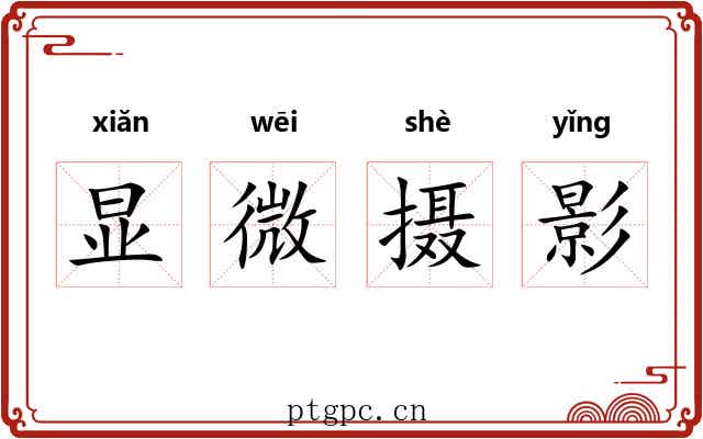 显微摄影