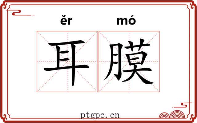耳膜 耳膜
