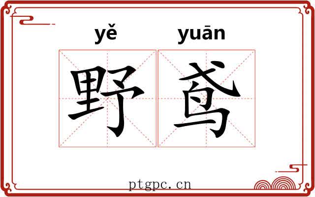 野鸢 野鸢
