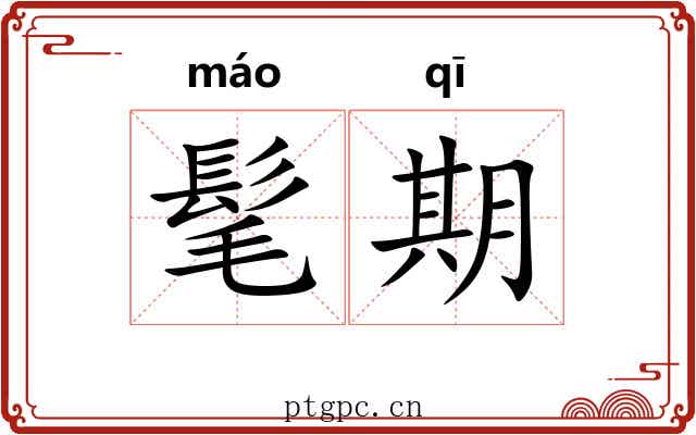 髦期