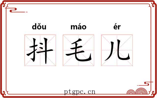 抖毛儿 抖毛儿
