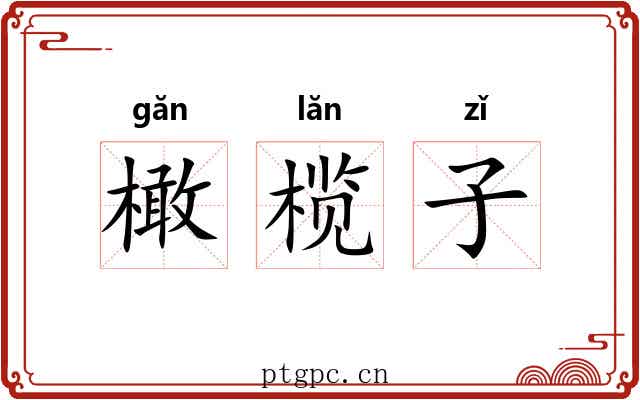 橄榄子 橄榄子