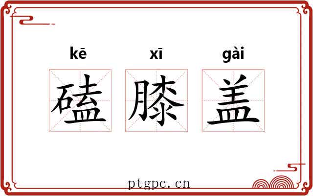 磕膝盖 磕膝盖