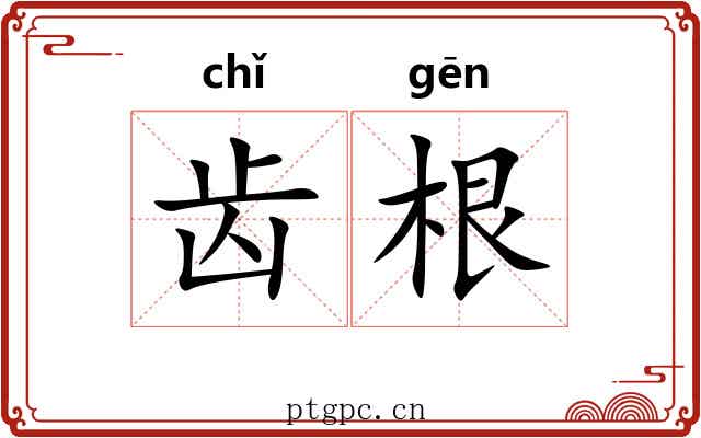 齿根 齿根