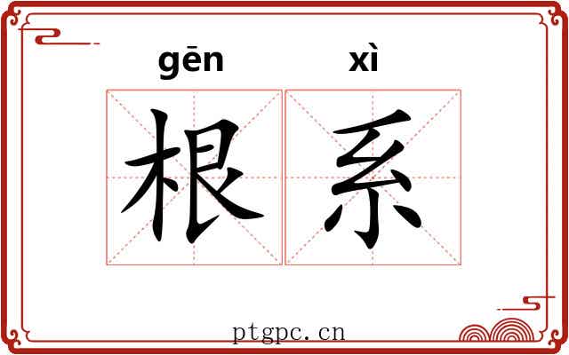 根系 根系