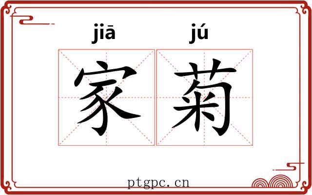 家菊 家菊