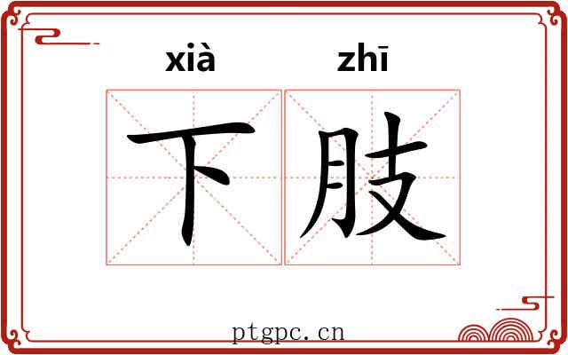 下肢