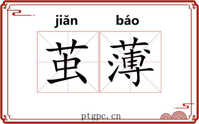 茧薄