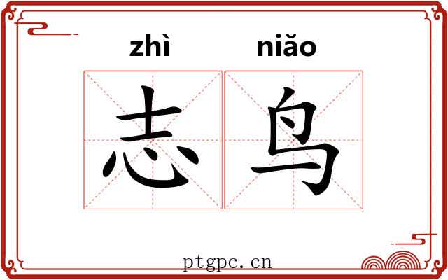 志鸟