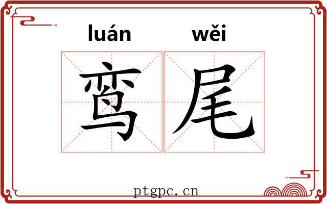 鸾尾