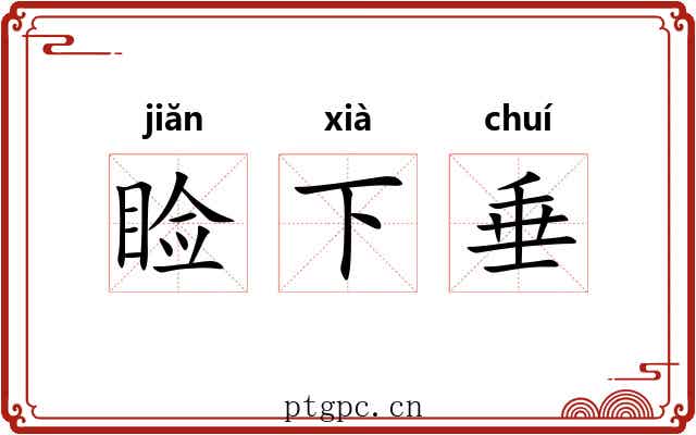 睑下垂 睑下垂