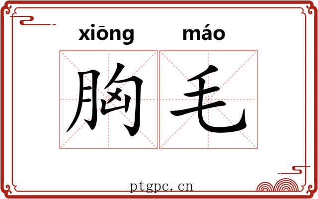 胸毛 胸毛