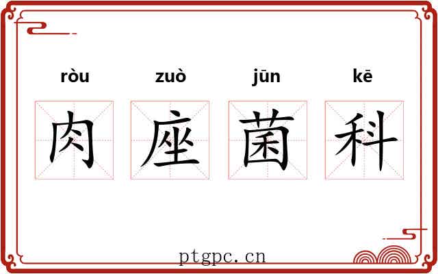 肉座菌科 肉座菌科